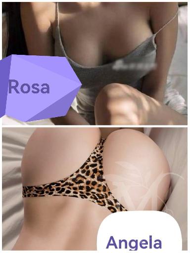 C.M. Rosa Milano 7
