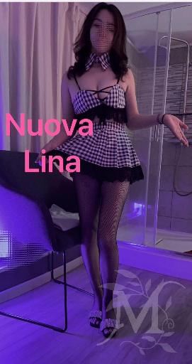 Viola Tuina 4