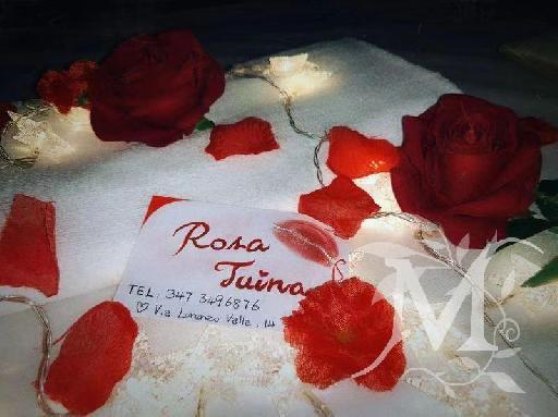 Rosa Tuina 3