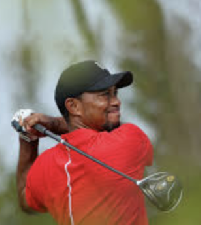 tiger woods