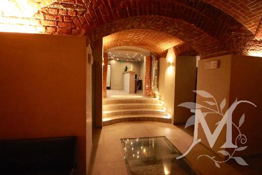 Arena Luxury 8