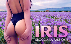 Iris C.M.