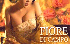 Fiore di campo