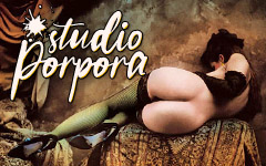 Studio Porpora