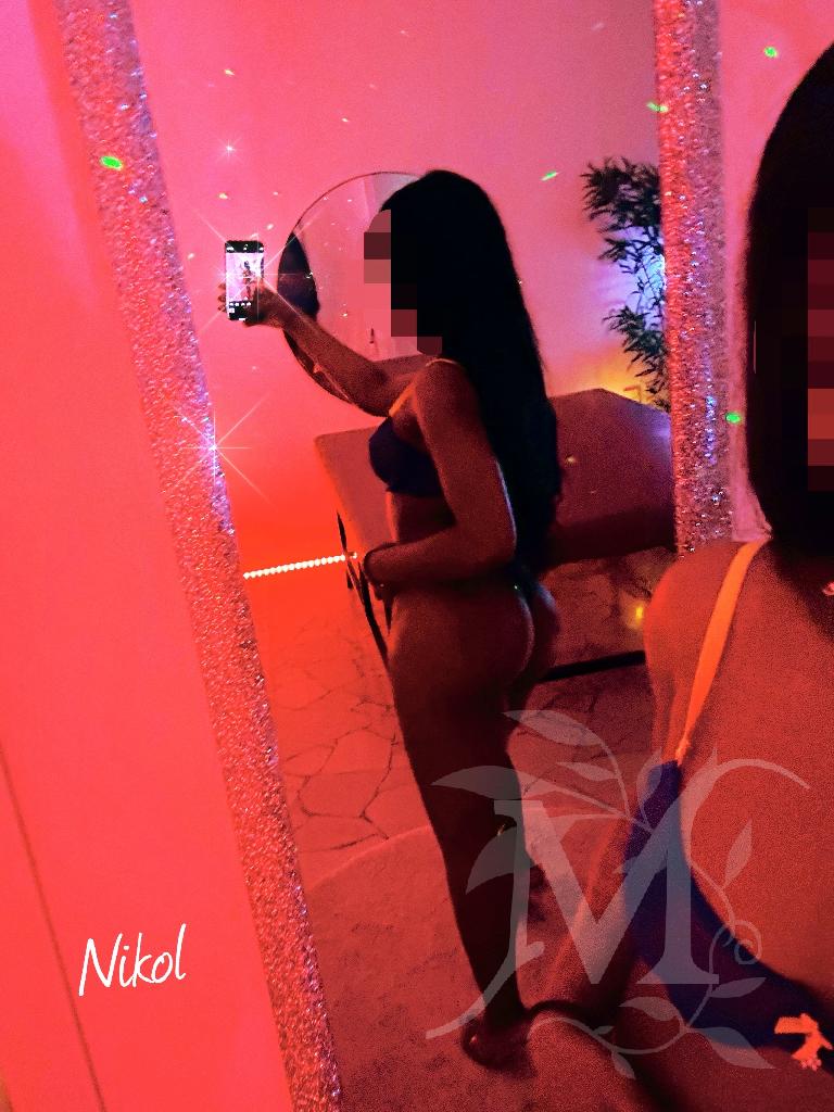 Nikol 5