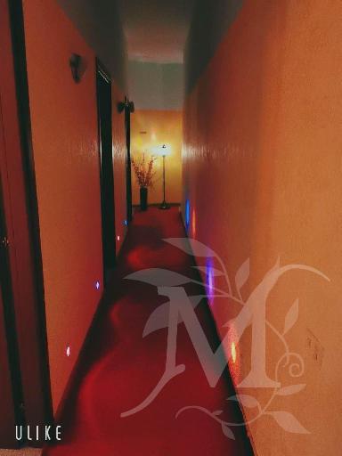 Serenity 5