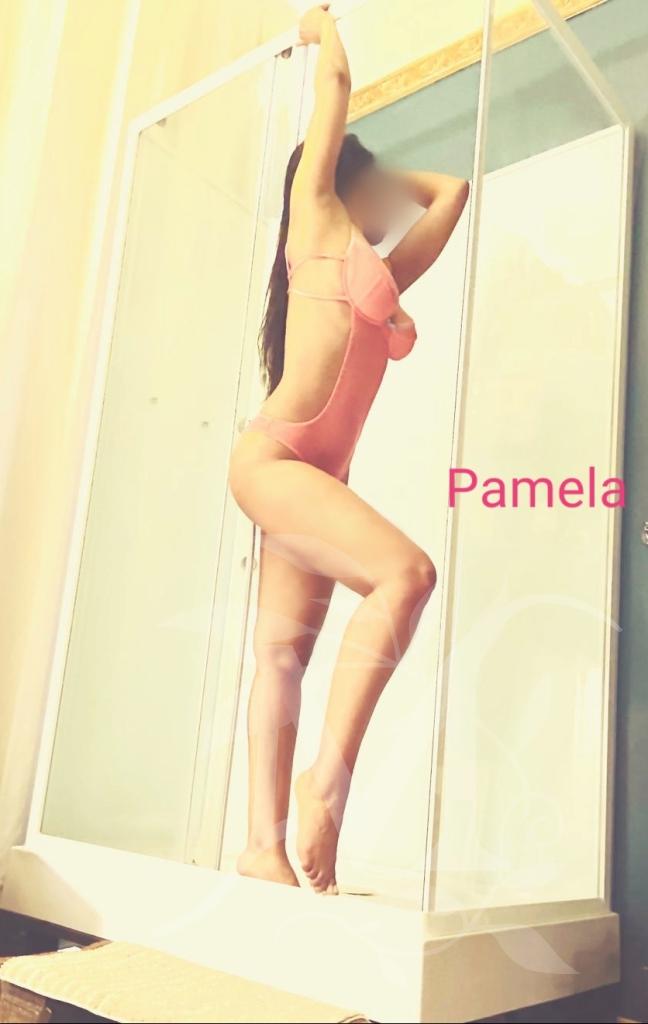 Pamy 3