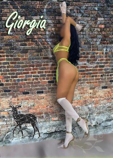 Giorgia the Fawn 3