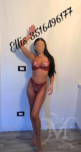 Ellis 10