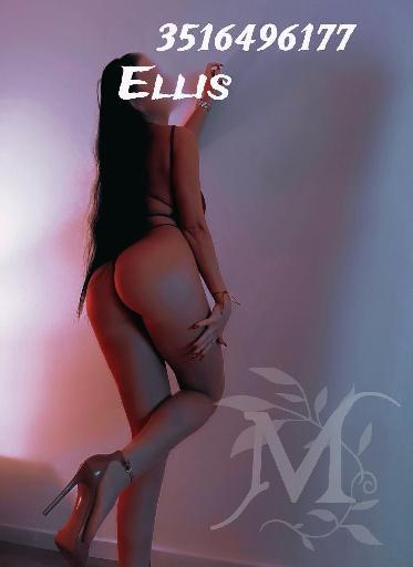 Ellis 17