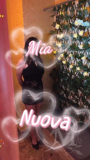 Gioia C. M. 2