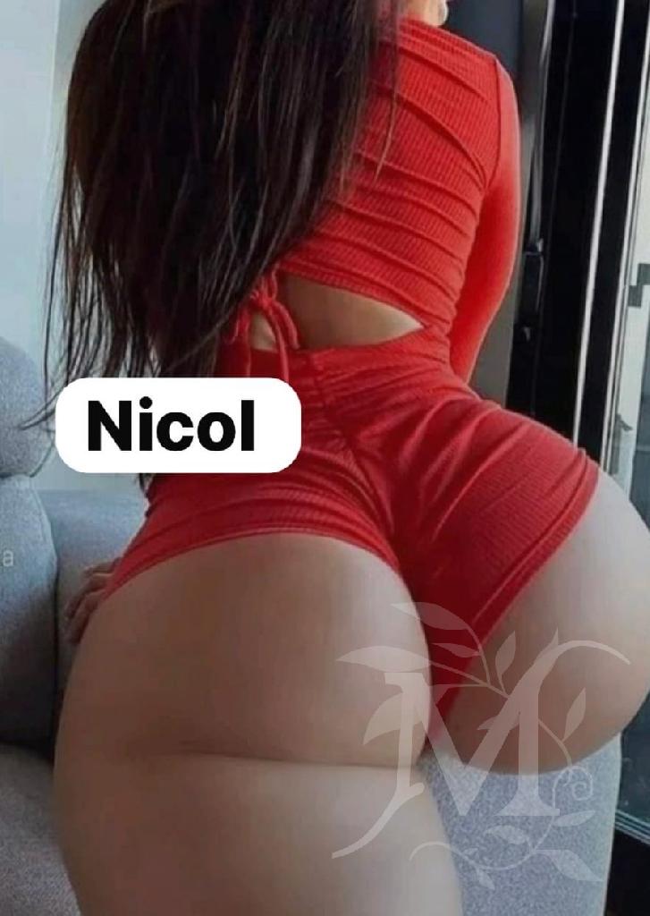 Nicol Italiana 3