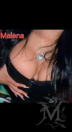 Mariposa 17