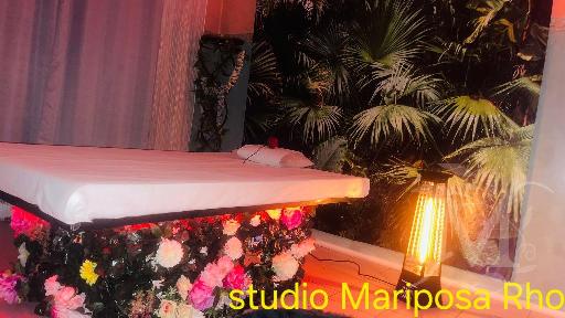 Mariposa 12
