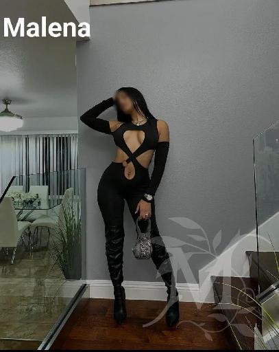 Mariposa 2