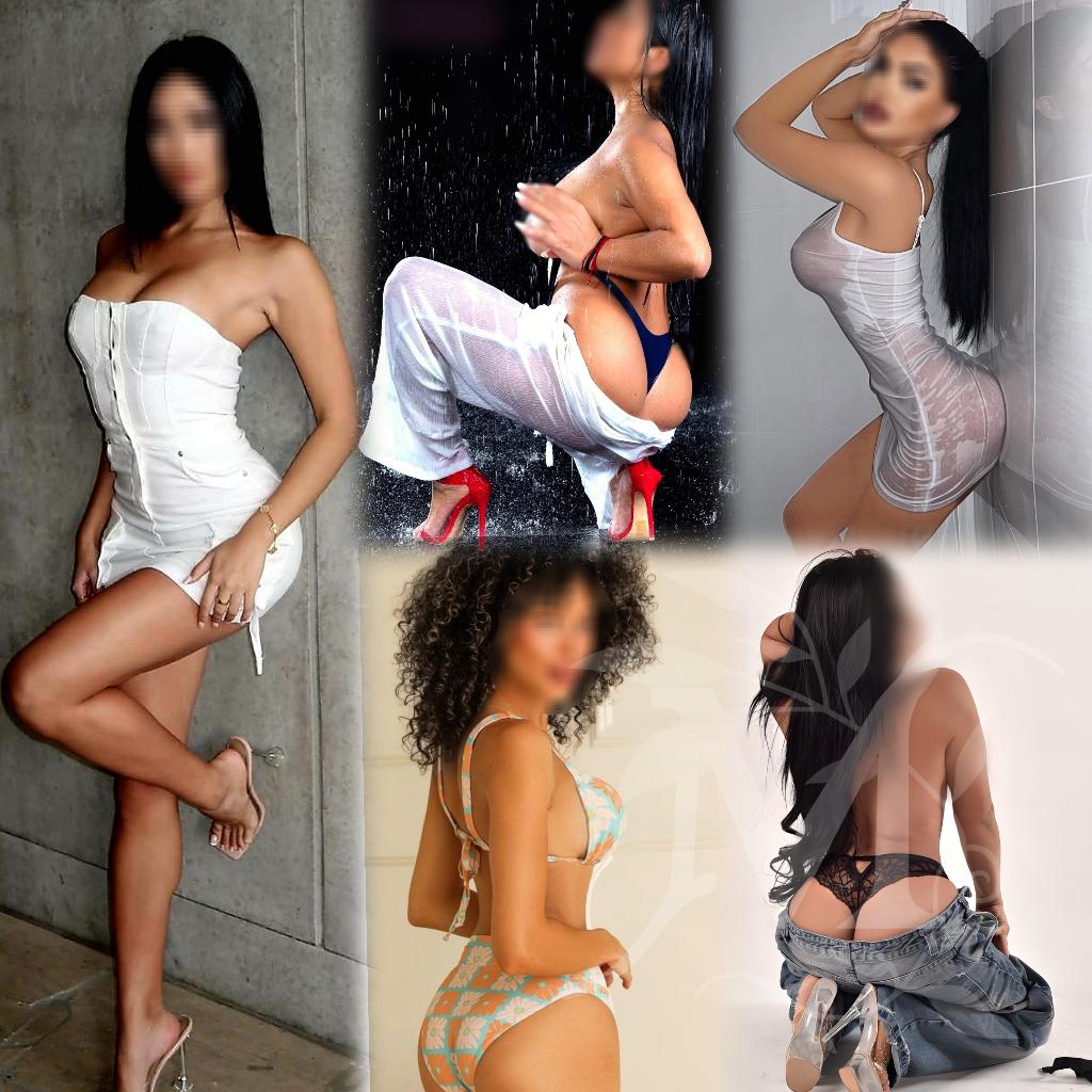 <h3><a class='' href='/centri/diva-suites-8690'>Diva Suites</a></h3>