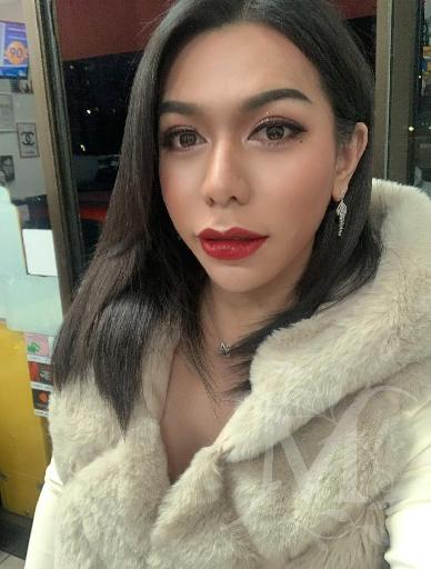 Annie Thai Trans 11