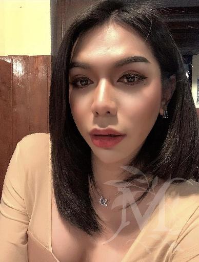 Annie Thai Trans 3