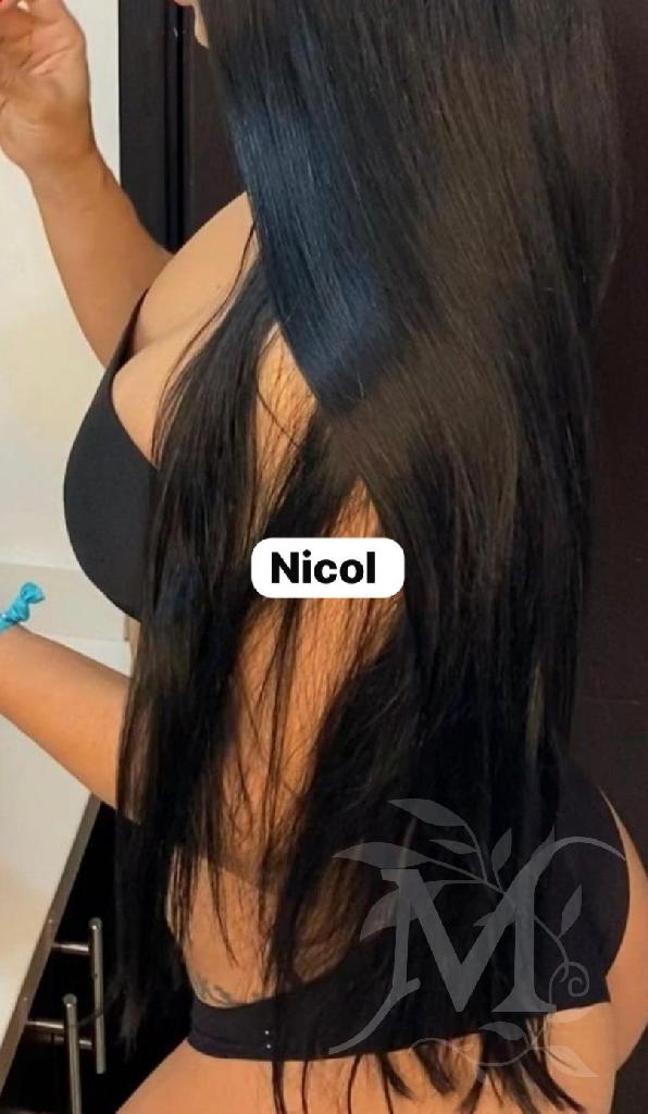 Nicol italiana  4