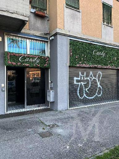 Candy Studio 20