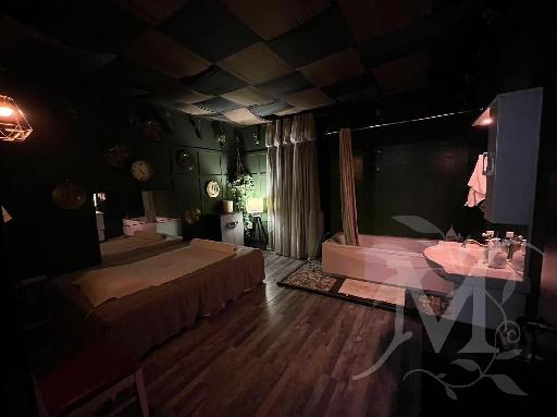 Candy Studio 18