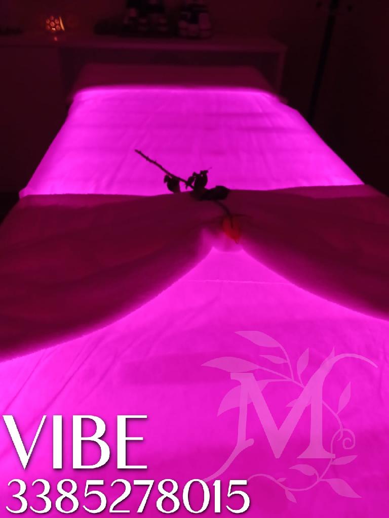 Vibe studio olistico 6