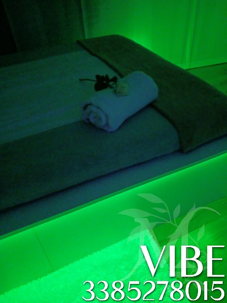 Vibe studio olistico 1