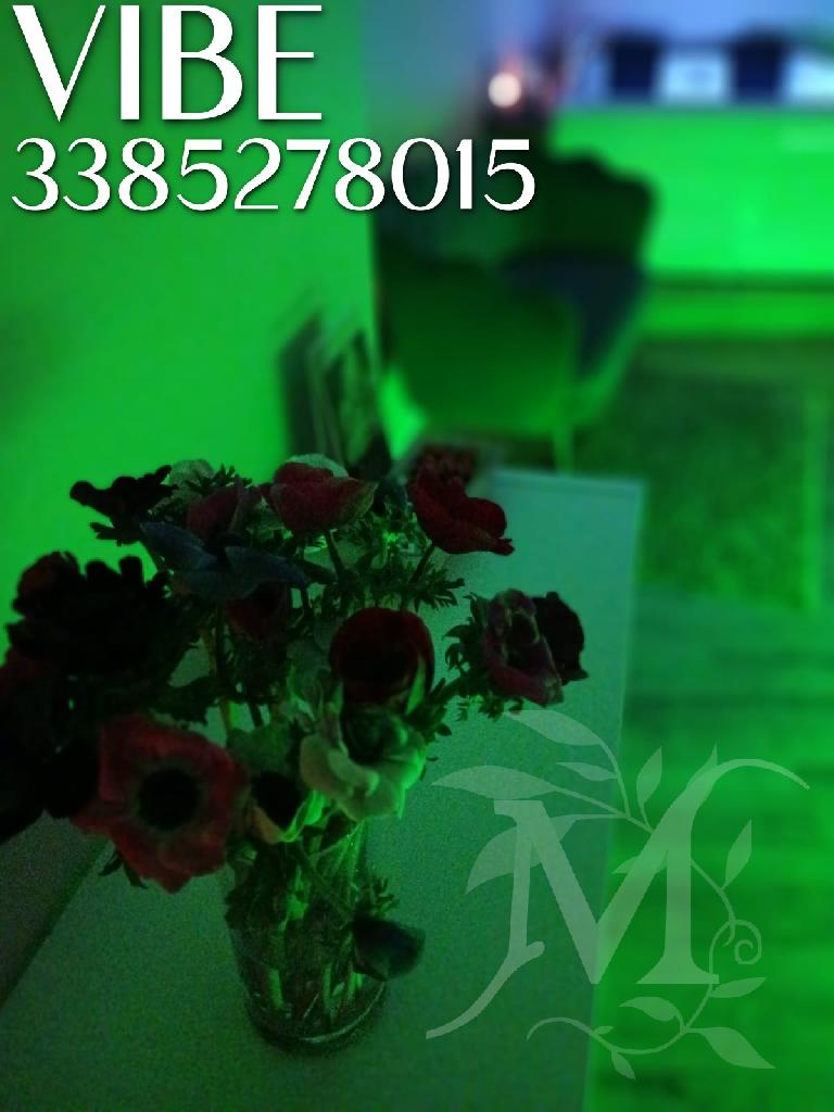 Vibe studio olistico 3