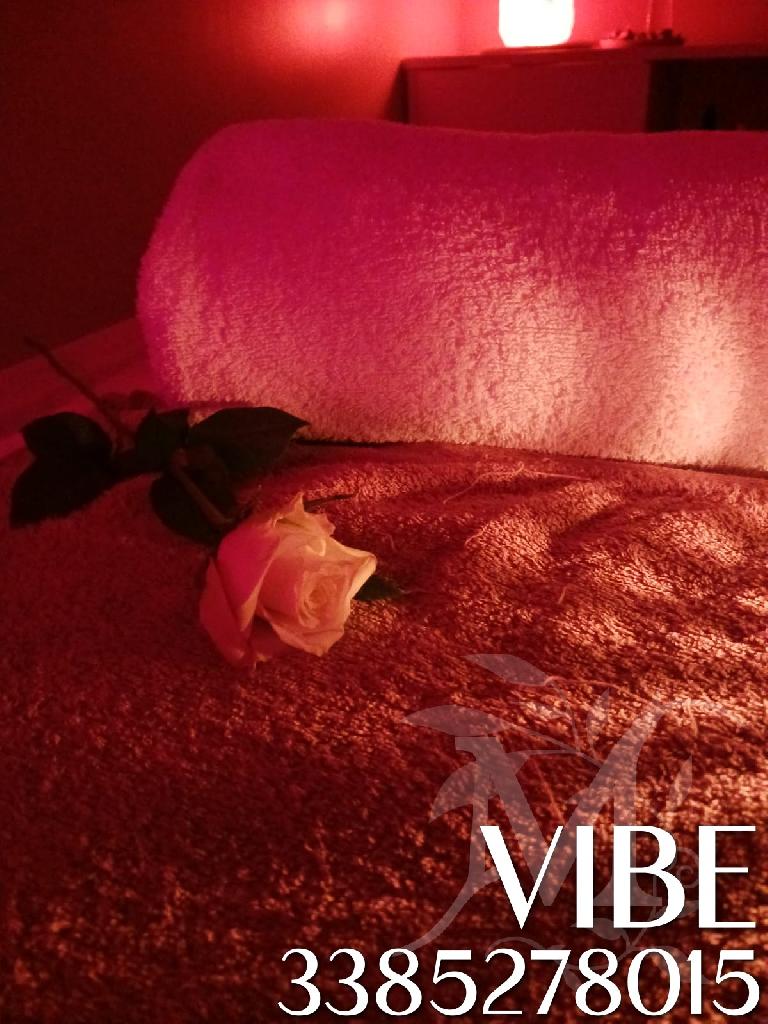 Vibe studio olistico 2