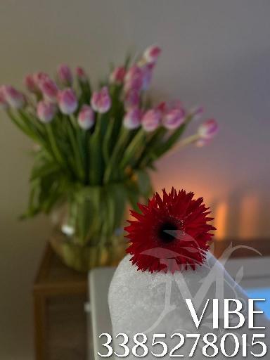 Vibe studio olistico 16