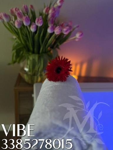 Vibe studio olistico 11