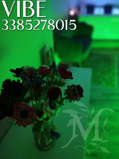Vibe studio olistico 3