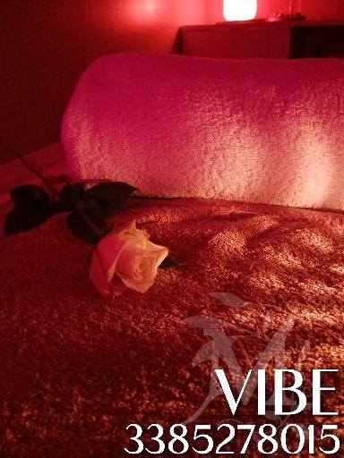 Vibe studio olistico 2