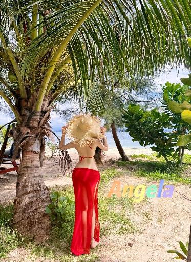 New Sugar 5