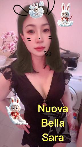 New Sugar 2